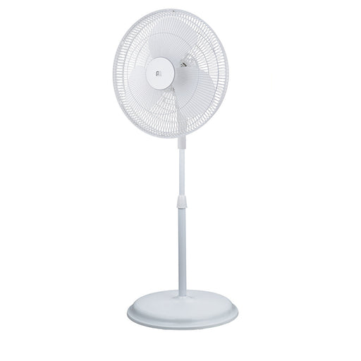 Left-Facing Product Image