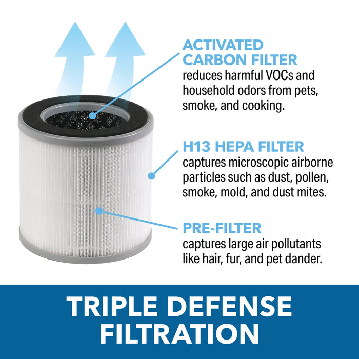 Replacement filter for 1PAP10 Desktop HEPA Air Purifier