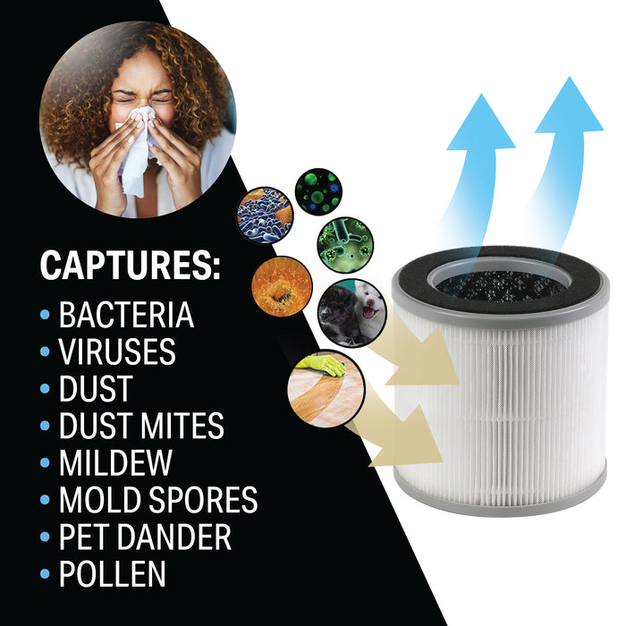 Replacement filter for 1PAP10 Desktop HEPA Air Purifier