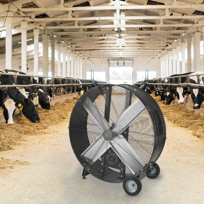 36" Heavy-Duty High Velocity Belt Drive Drum Fan