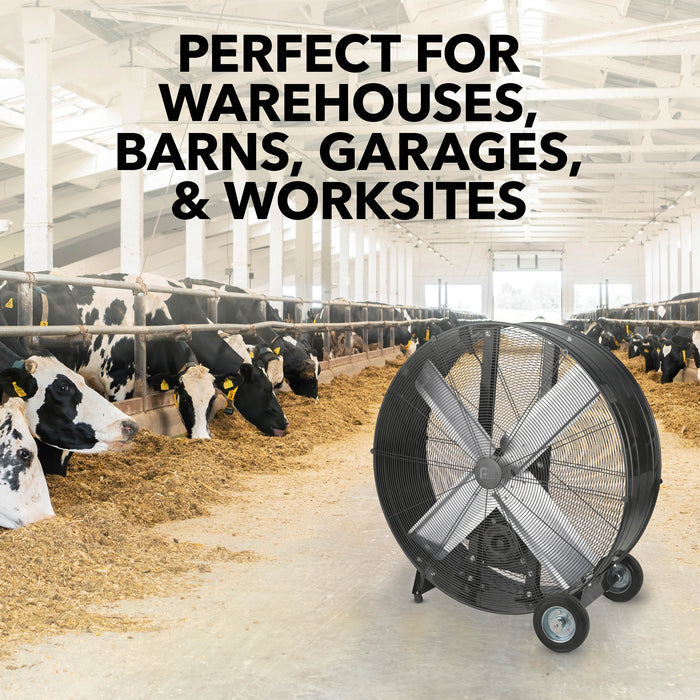 36" Heavy-Duty High Velocity Belt Drive Drum Fan