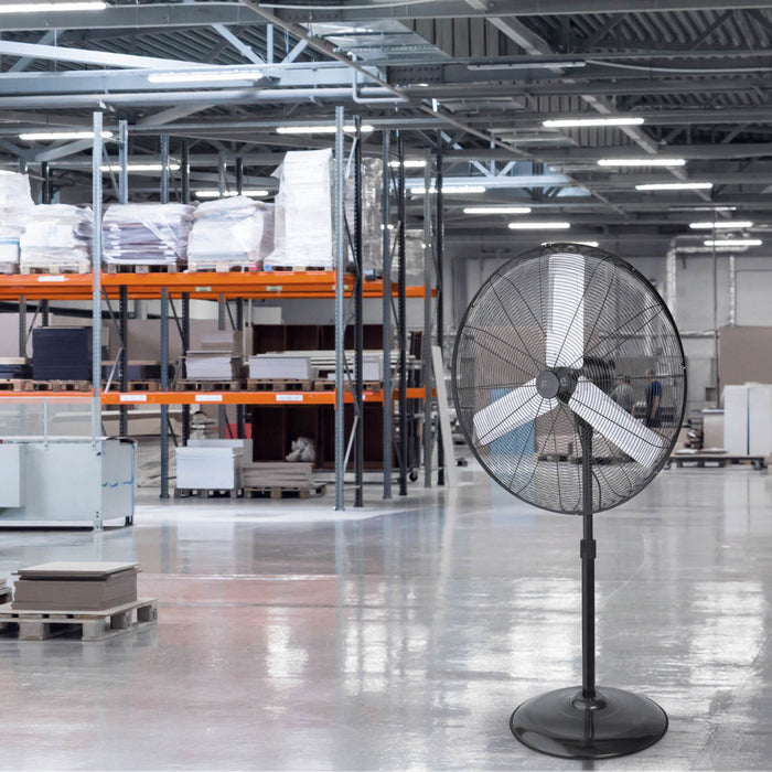 Lifestyle Warehouse