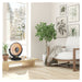 Lifestyle Bedroom