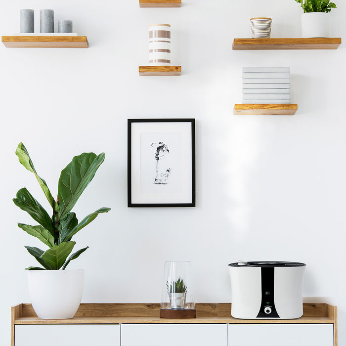 Lifestyle Studio